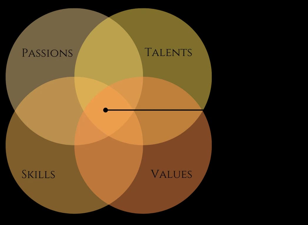 Zone of Genious is between passios, talents, skills and values